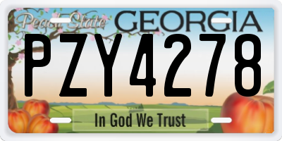 GA license plate PZY4278