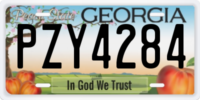 GA license plate PZY4284