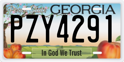 GA license plate PZY4291
