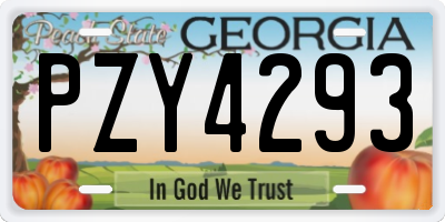 GA license plate PZY4293