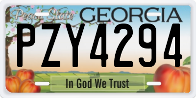 GA license plate PZY4294