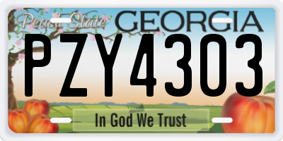 GA license plate PZY4303