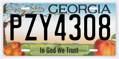 GA license plate PZY4308