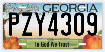 GA license plate PZY4309