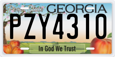 GA license plate PZY4310