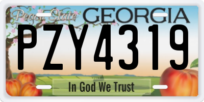 GA license plate PZY4319