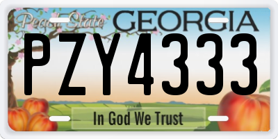 GA license plate PZY4333