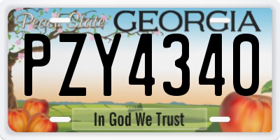 GA license plate PZY4340