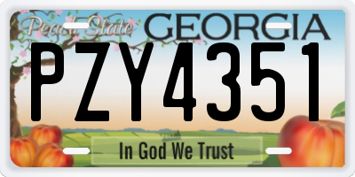 GA license plate PZY4351