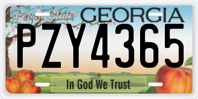 GA license plate PZY4365