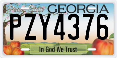 GA license plate PZY4376