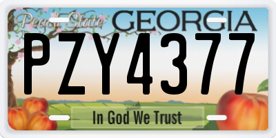 GA license plate PZY4377