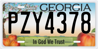 GA license plate PZY4378