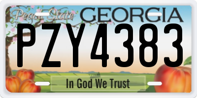 GA license plate PZY4383