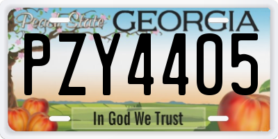 GA license plate PZY4405