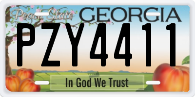 GA license plate PZY4411