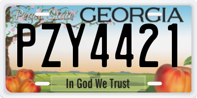 GA license plate PZY4421