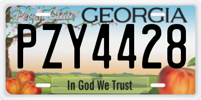 GA license plate PZY4428