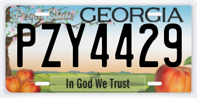 GA license plate PZY4429