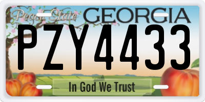 GA license plate PZY4433