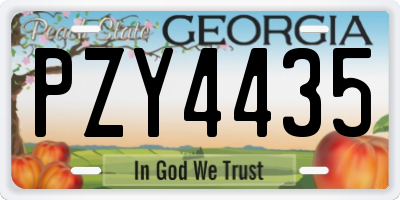 GA license plate PZY4435