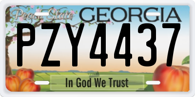 GA license plate PZY4437
