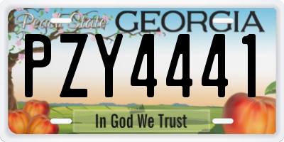 GA license plate PZY4441