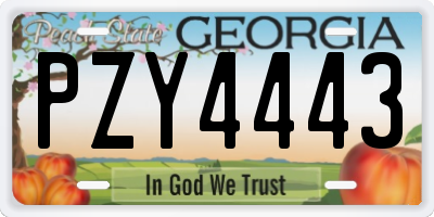 GA license plate PZY4443