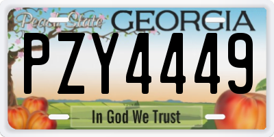 GA license plate PZY4449