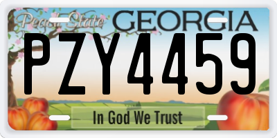 GA license plate PZY4459