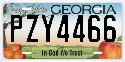 GA license plate PZY4466
