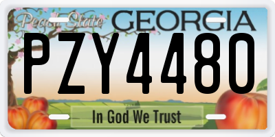 GA license plate PZY4480