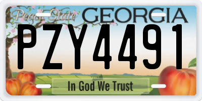 GA license plate PZY4491