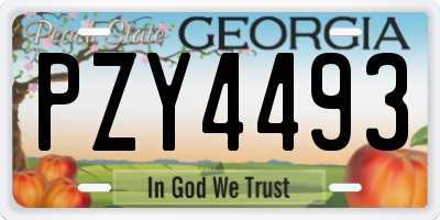 GA license plate PZY4493