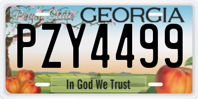 GA license plate PZY4499