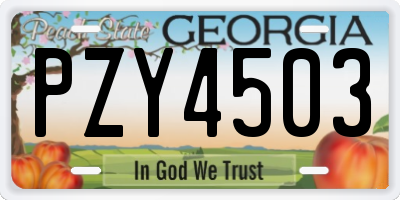 GA license plate PZY4503