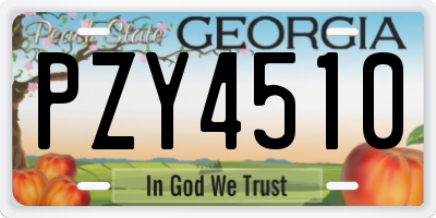 GA license plate PZY4510