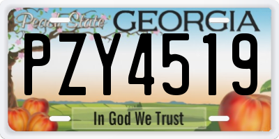 GA license plate PZY4519