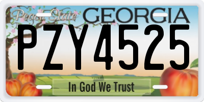 GA license plate PZY4525