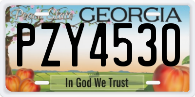 GA license plate PZY4530