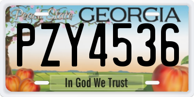 GA license plate PZY4536