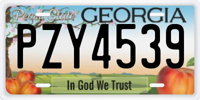 GA license plate PZY4539