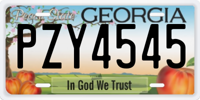 GA license plate PZY4545