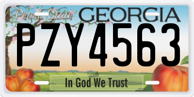 GA license plate PZY4563