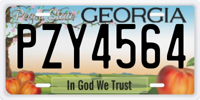 GA license plate PZY4564