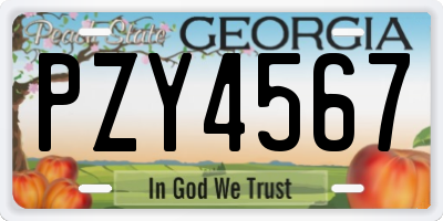 GA license plate PZY4567