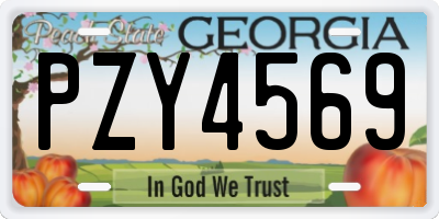 GA license plate PZY4569