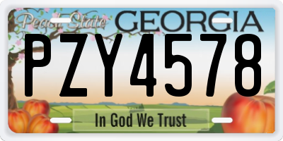 GA license plate PZY4578