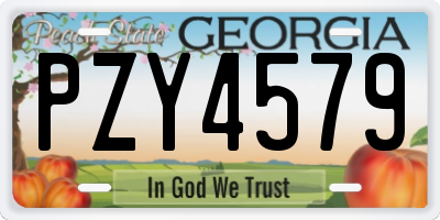 GA license plate PZY4579
