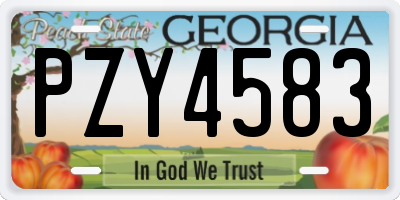 GA license plate PZY4583